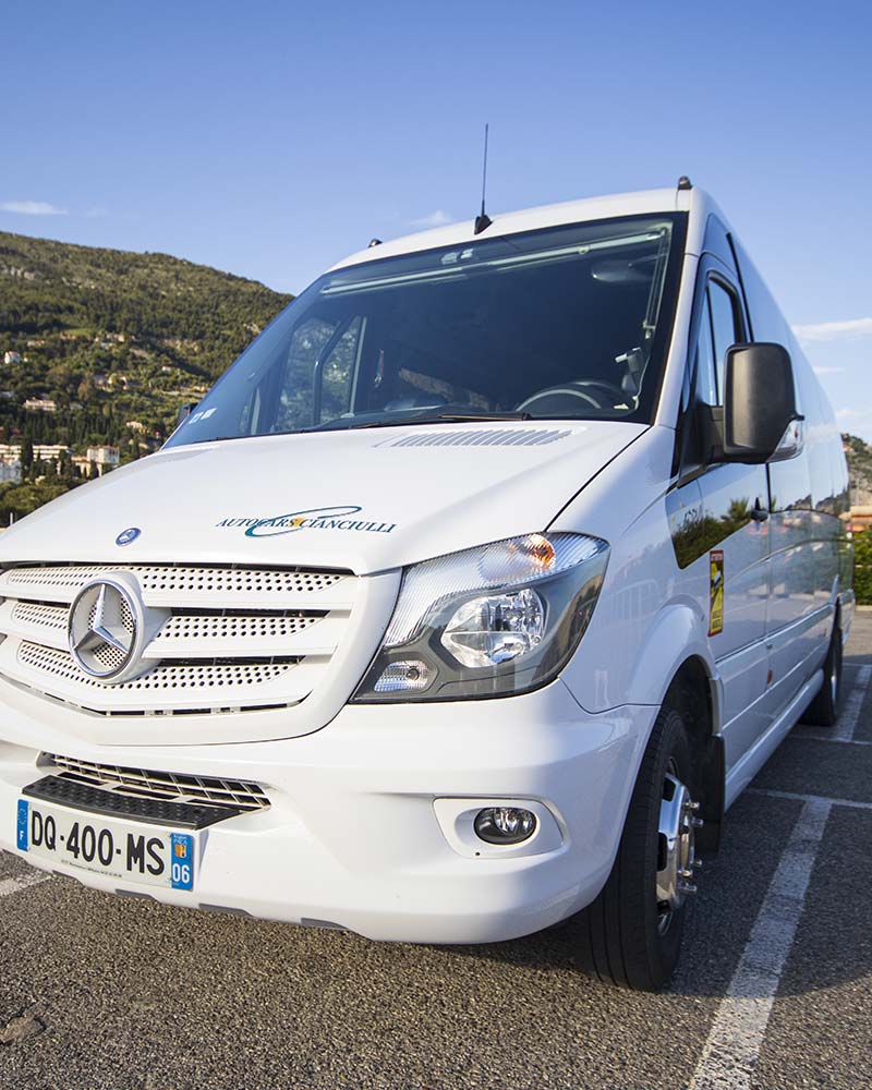 location minibus avec chauffeur